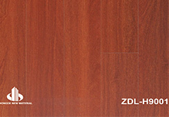 ZDL-H9001 highlights Hardwood